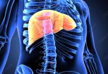 Is Kratom Good or Bad for Your Liver?,liver,